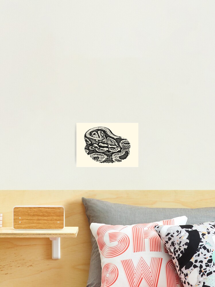 Thumbnail 2 of 3, Photographic Print, Python designed and sold by Guardi71.