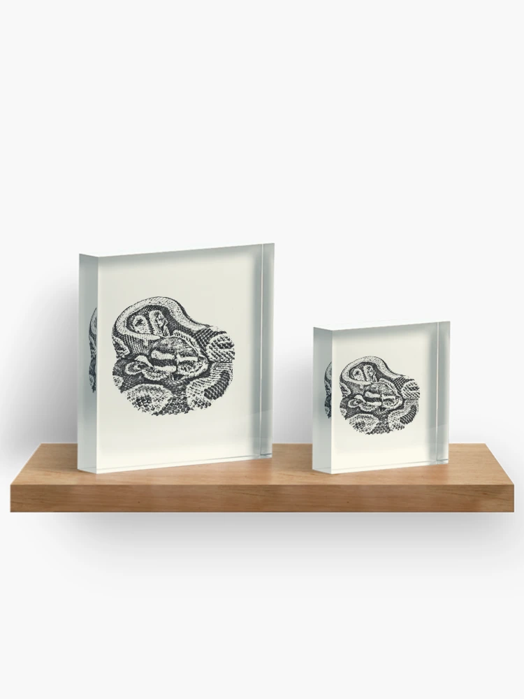 Thumbnail 3 of 5, Acrylic Block, Python designed and sold by Guardi71.
