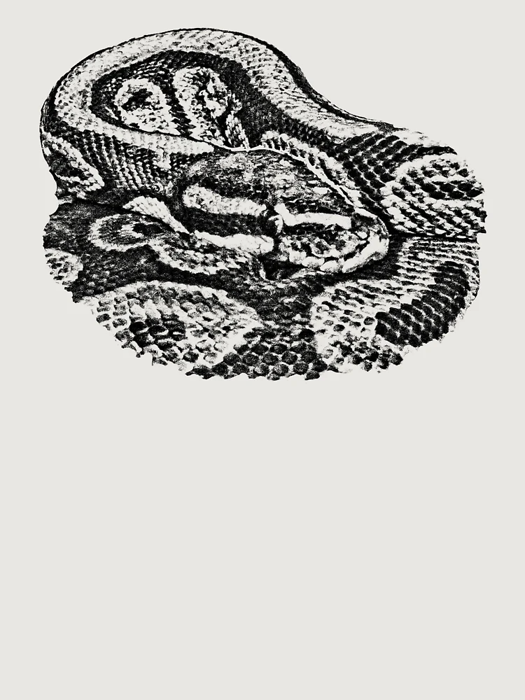 Thumbnail 6 of 6, Premium Oversized Hoodie, Python designed and sold by Guardi71.