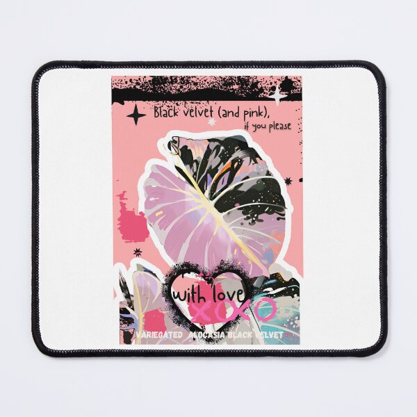 Item preview, Variegated Black Velvet and Pink Valentines designed and sold by AroidIsland.