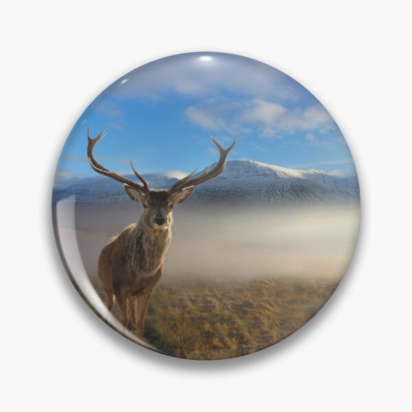 Item preview, Scottish Highland Stag designed and sold by Alisonchambers2.