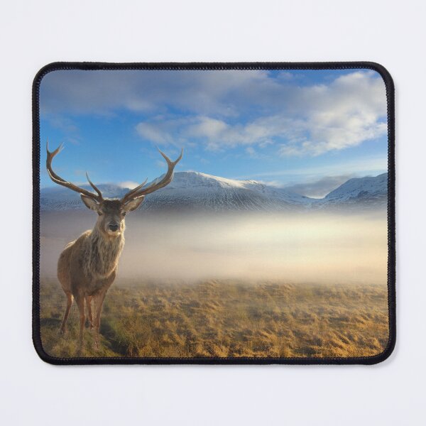 Item preview, Scottish Highland Stag designed and sold by Alisonchambers2.