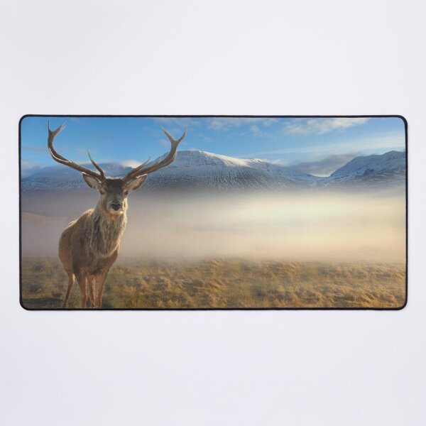 Item preview, Scottish Highland Stag designed and sold by Alisonchambers2.