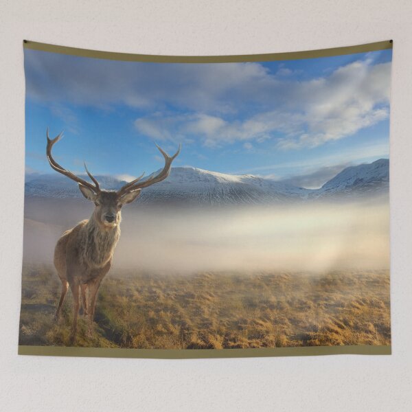 Item preview, Scottish Highland Stag designed and sold by Alisonchambers2.