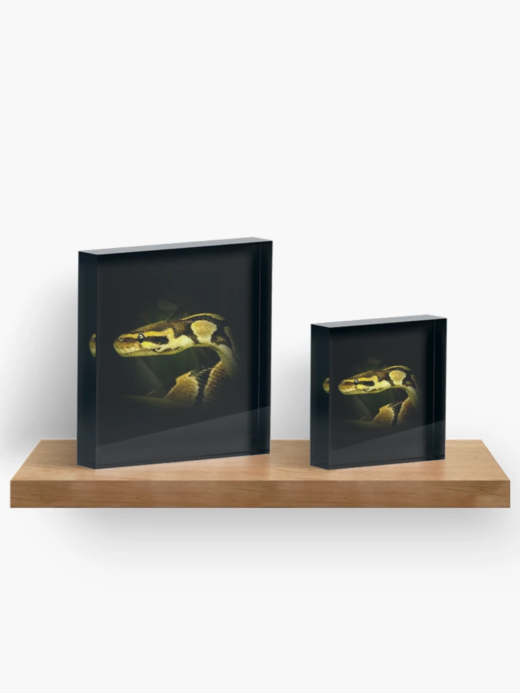 Thumbnail 3 von 5, Acrylblock, Python designt und verkauft von Guardi71.