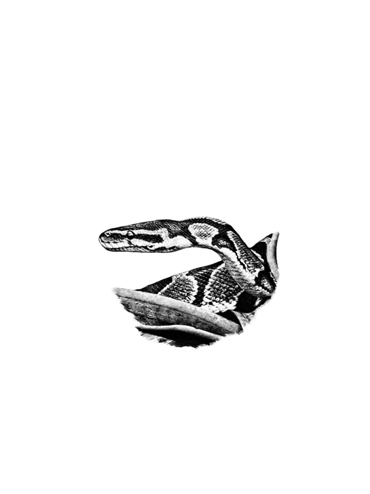 Thumbnail 4 of 4, iPhone Case, Python designed and sold by Guardi71.