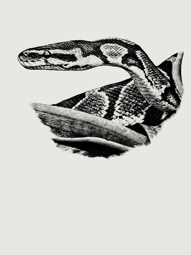Thumbnail 6 of 6, Premium Oversized Hoodie, Python designed and sold by Guardi71.