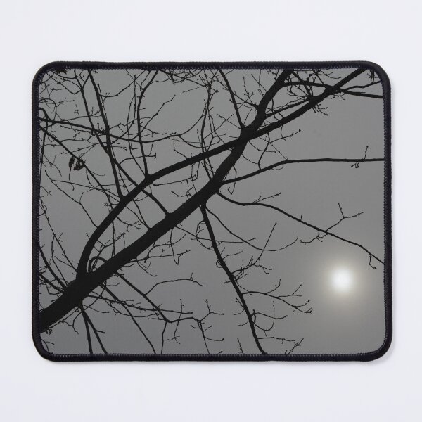 Item preview, Winter Sun through Tree designed and sold by ReplyGirl.
