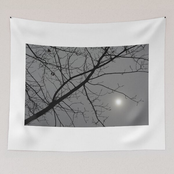 Item preview, Winter Sun through Tree designed and sold by ReplyGirl.