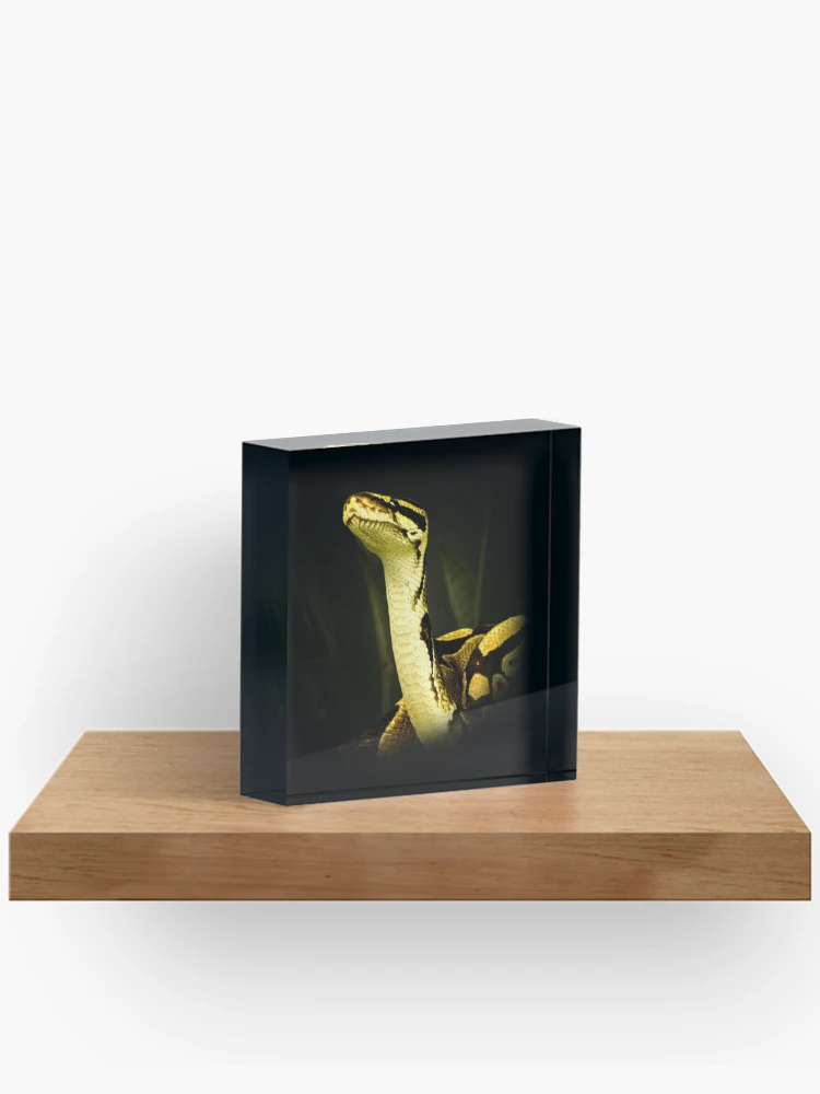 Thumbnail 2 of 5, Acrylic Block, Python designed and sold by Guardi71.
