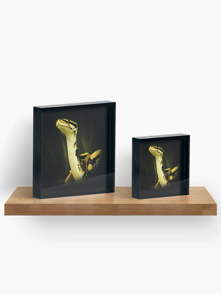Thumbnail 3 of 5, Acrylic Block, Python designed and sold by Guardi71.