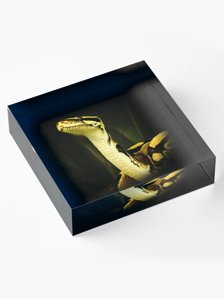 Thumbnail 4 of 5, Acrylic Block, Python designed and sold by Guardi71.