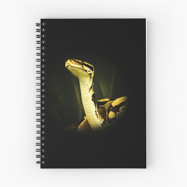 Item preview, Python designed and sold by Guardi71.