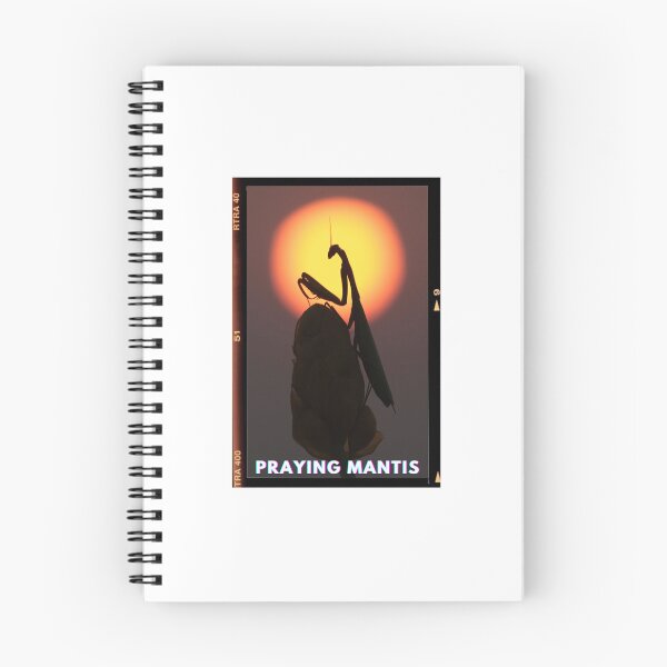 Item preview, Praying Mantis Photo designed and sold by AstroLynx.
