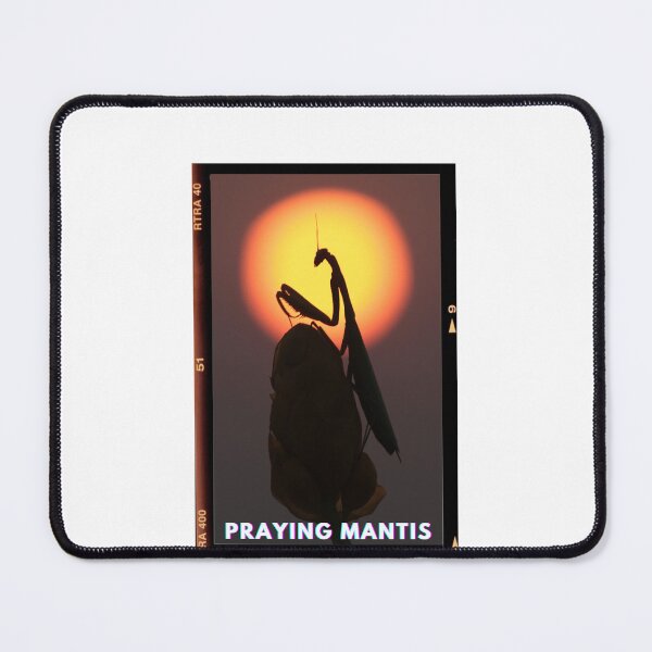 Item preview, Praying Mantis Photo designed and sold by AstroLynx.