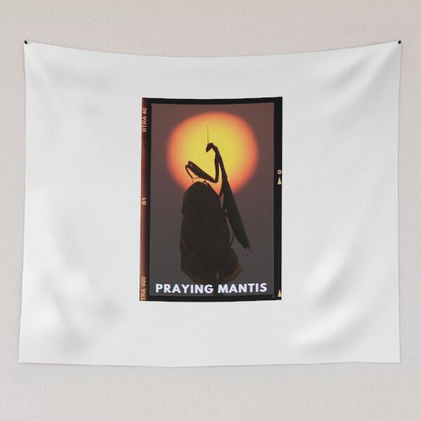Item preview, Praying Mantis Photo designed and sold by AstroLynx.