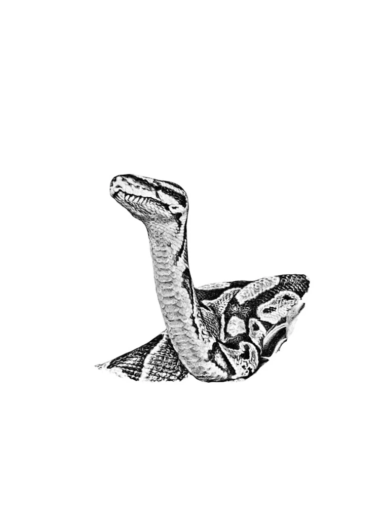 Thumbnail 4 of 4, iPhone Case, Python designed and sold by Guardi71.