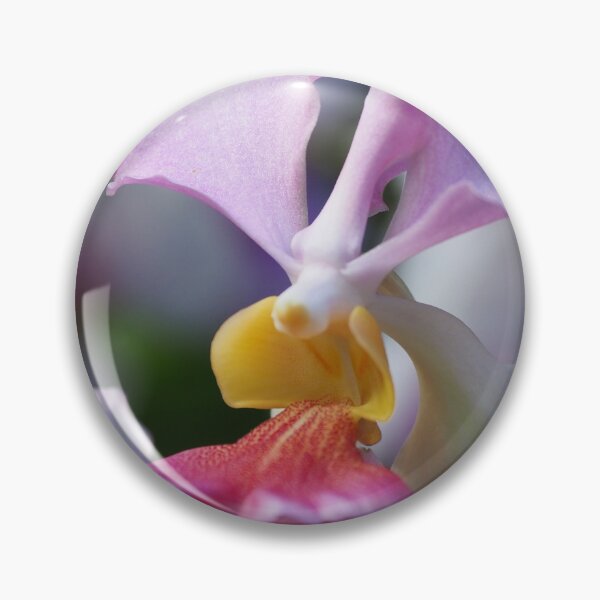 Artikelvorschau, Orchidee entworfen und verkauft von Yvonne O'Shea.