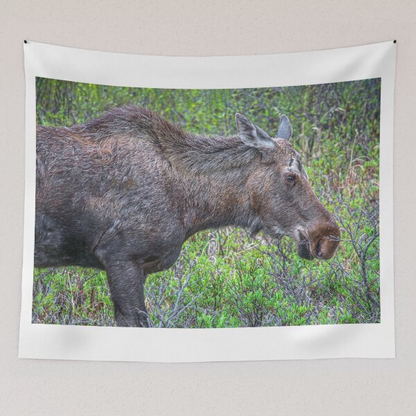 Item preview, Moose Portrait designed and sold by AndyKazie.