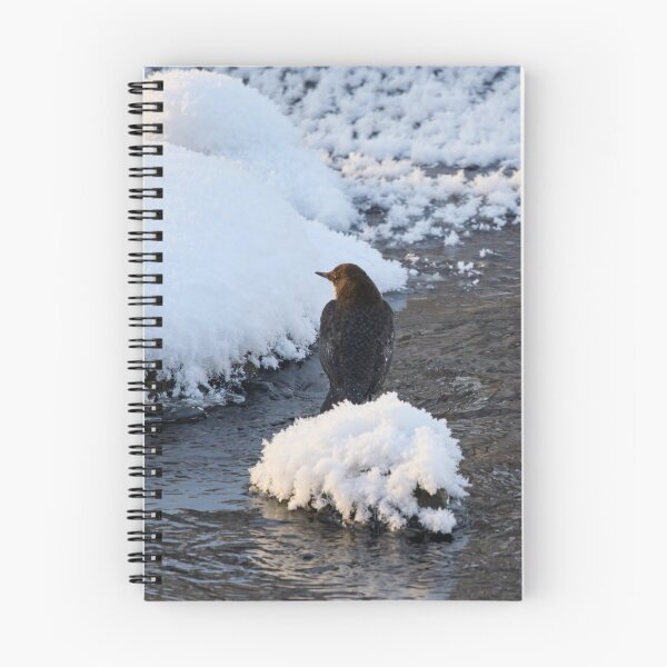 Item preview, Whishes whishes. White-throated dipper designed and sold by Jouko Lehto Photography.