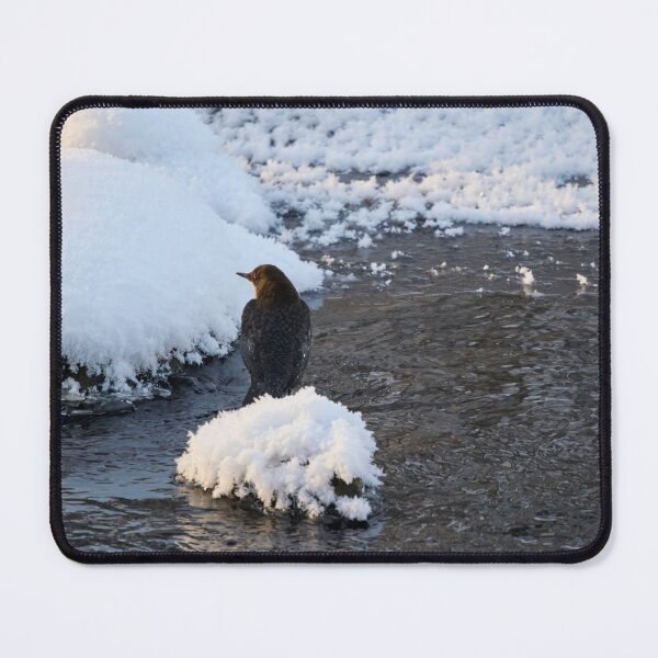 Item preview, Whishes whishes. White-throated dipper designed and sold by Jouko Lehto Photography.