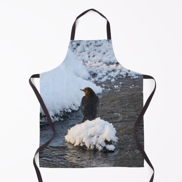 Item preview, Whishes whishes. White-throated dipper designed and sold by Jouko Lehto Photography.
