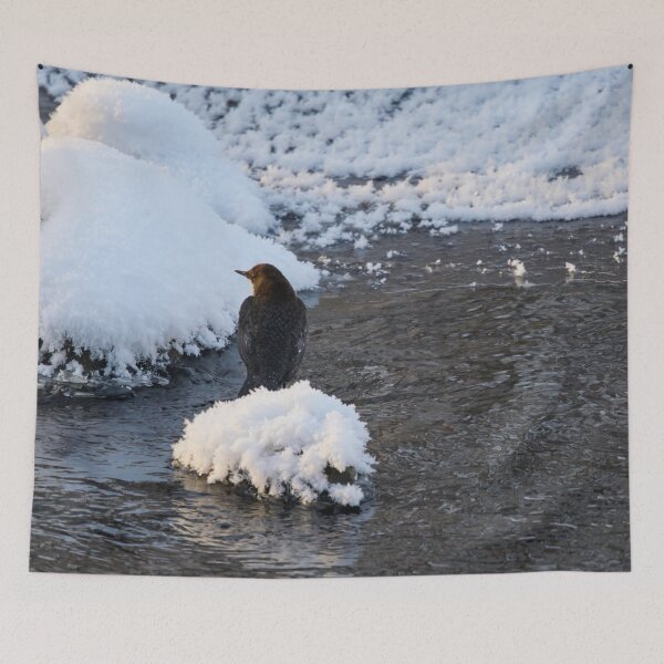 Item preview, Whishes whishes. White-throated dipper designed and sold by Jouko Lehto Photography.