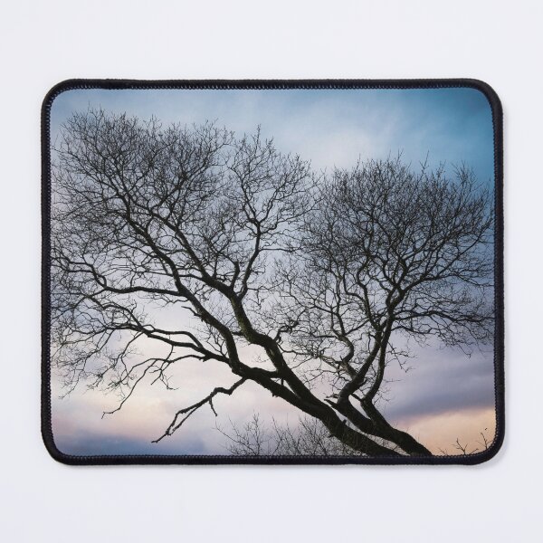 Item preview, Bare tree in Winter designed and sold by Leighton Collins.