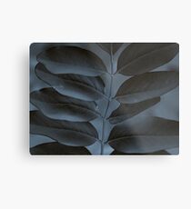 Black & Blue Metal Print