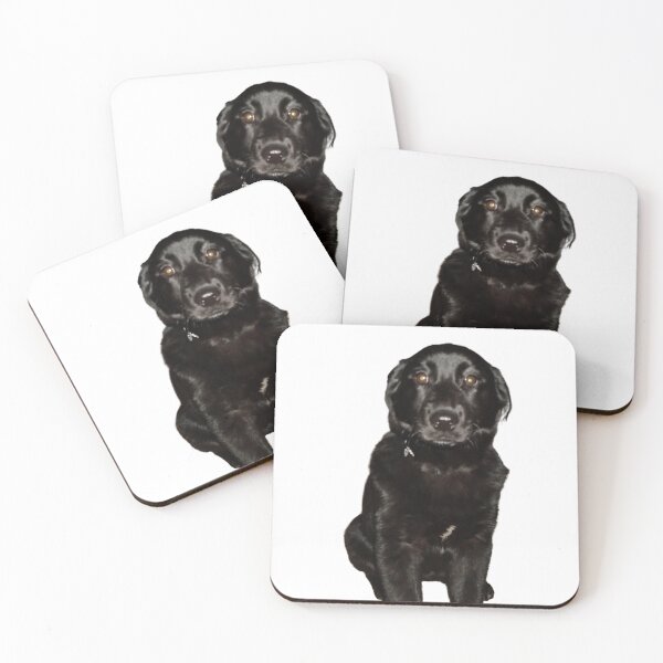 Item preview, Black Lab Beauty designed and sold by PandLcreations.