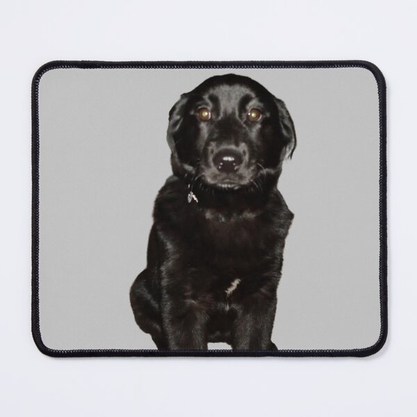 Item preview, Black Lab Beauty designed and sold by PandLcreations.