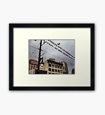 Habitat Framed Print