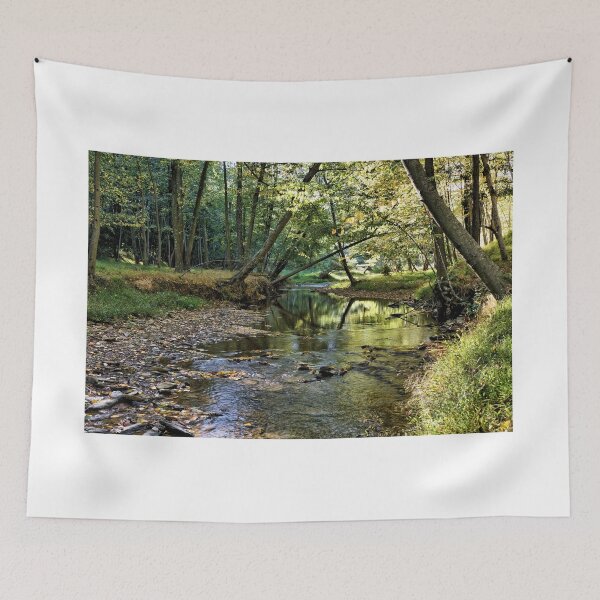 Item preview, Stream Through A Pennsylvania Forest 1 designed and sold by jtrommer.