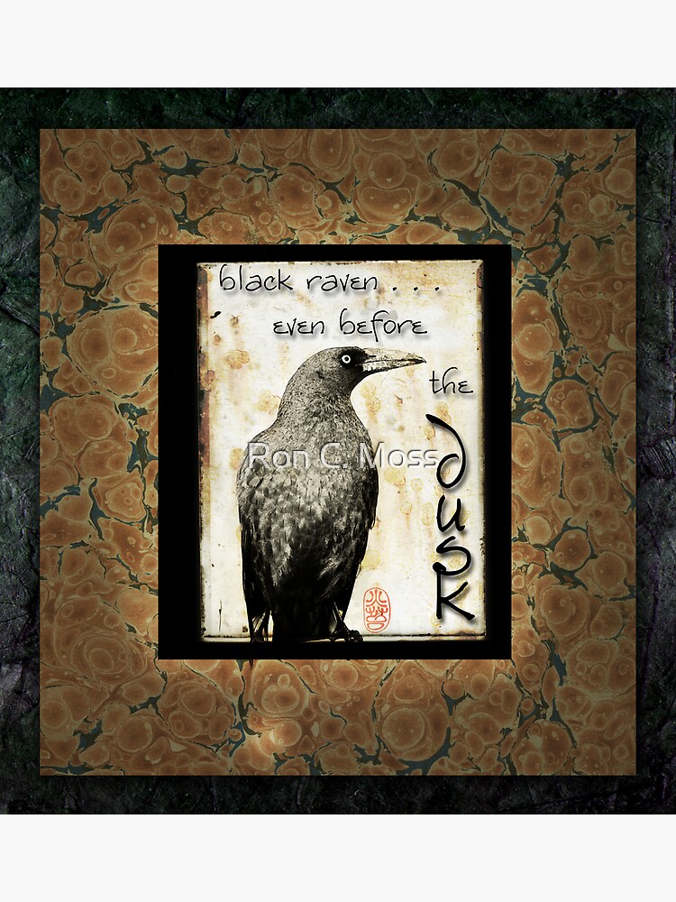 Raven by ronmoss