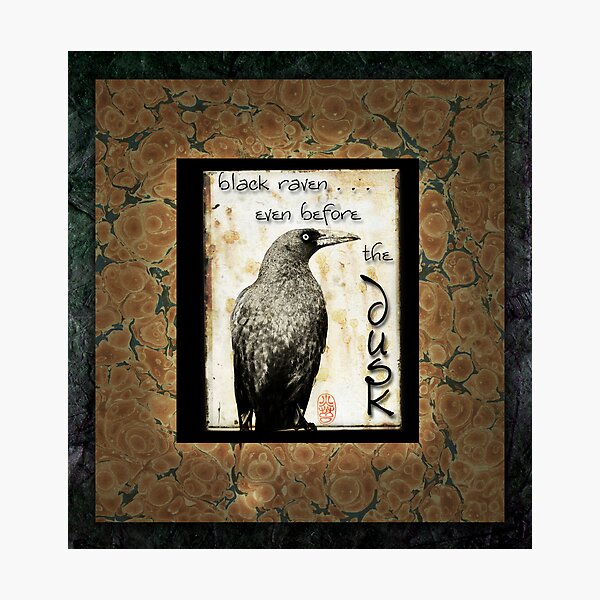Raven Photographic Print