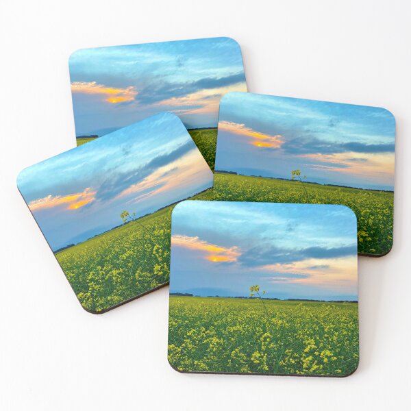 Item preview, Canola Bliss designed and sold by Photography by Syed Adeel Hussain.