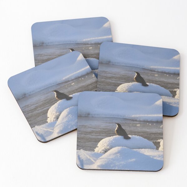 Item preview, Ode for the sun. White-throated dipper designed and sold by Jouko Lehto Photography.