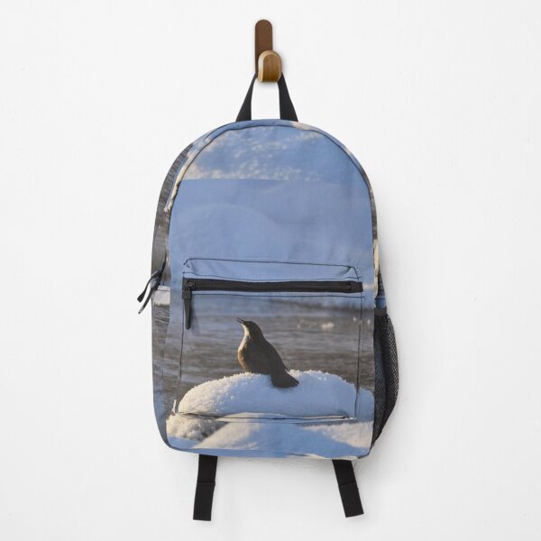 Item preview, Ode for the sun. White-throated dipper designed and sold by Jouko Lehto Photography.