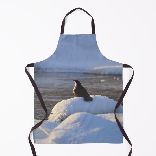 Item preview, Ode for the sun. White-throated dipper designed and sold by Jouko Lehto Photography.