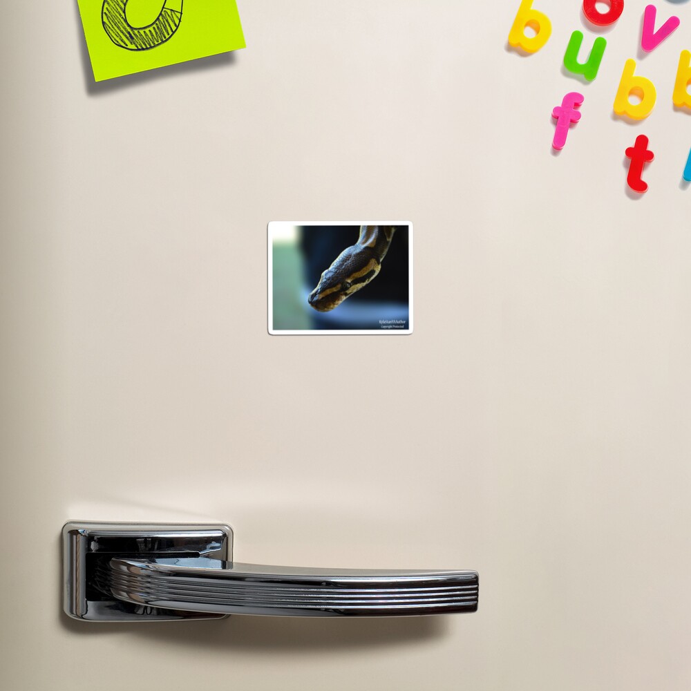 Item preview, Magnet designed and sold by KylaStanAuthor.