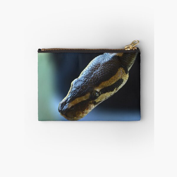 Item preview, Python designed and sold by Nature's Reflections.