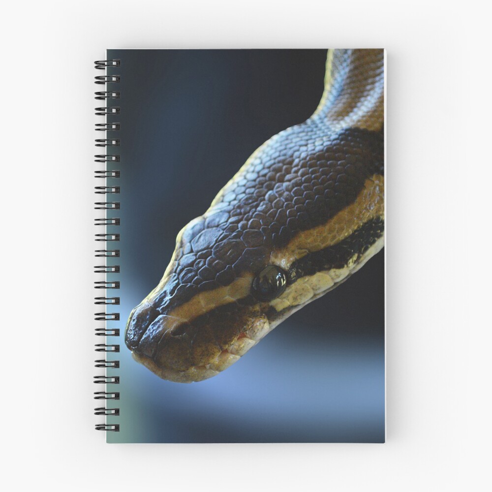 Item preview, Spiral Notebook designed and sold by KylaStanAuthor.