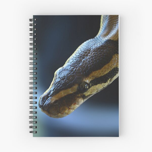 Item preview, Python designed and sold by Nature's Reflections.