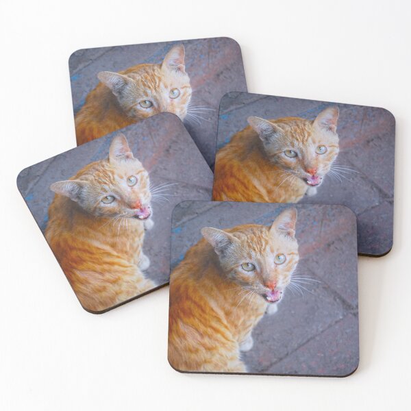 Item preview, Stray Cat designed and sold by Neha  Gupta.