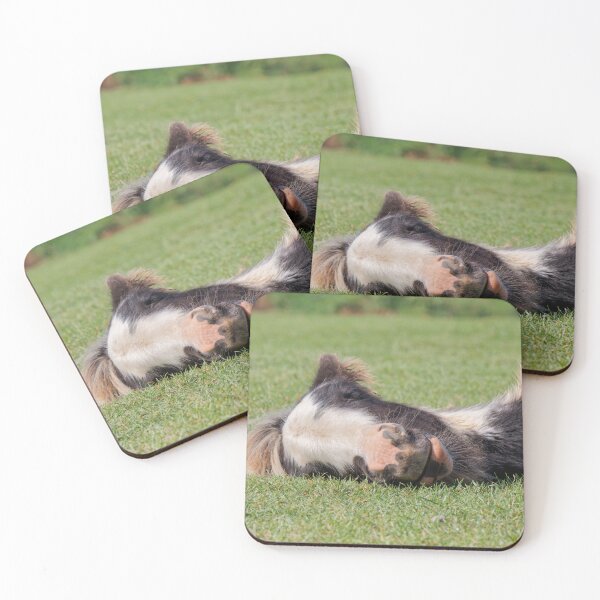 Item preview, Sleeping Foal designed and sold by heidipics.