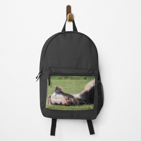 Item preview, Sleeping Foal designed and sold by heidipics.
