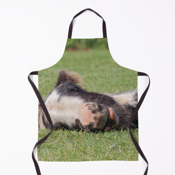 Item preview, Sleeping Foal designed and sold by heidipics.