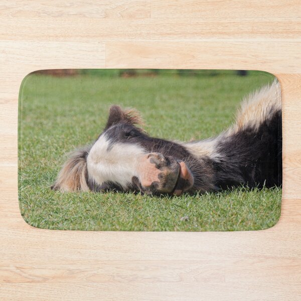 Item preview, Sleeping Foal designed and sold by heidipics.