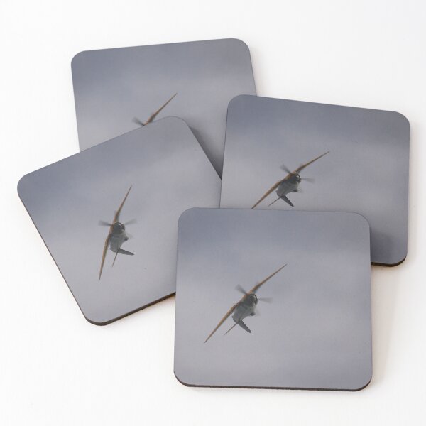 Item preview, Soaring designed and sold by miradorpictures.