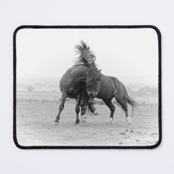 Item preview, Fighting Horses designed and sold by heidipics.